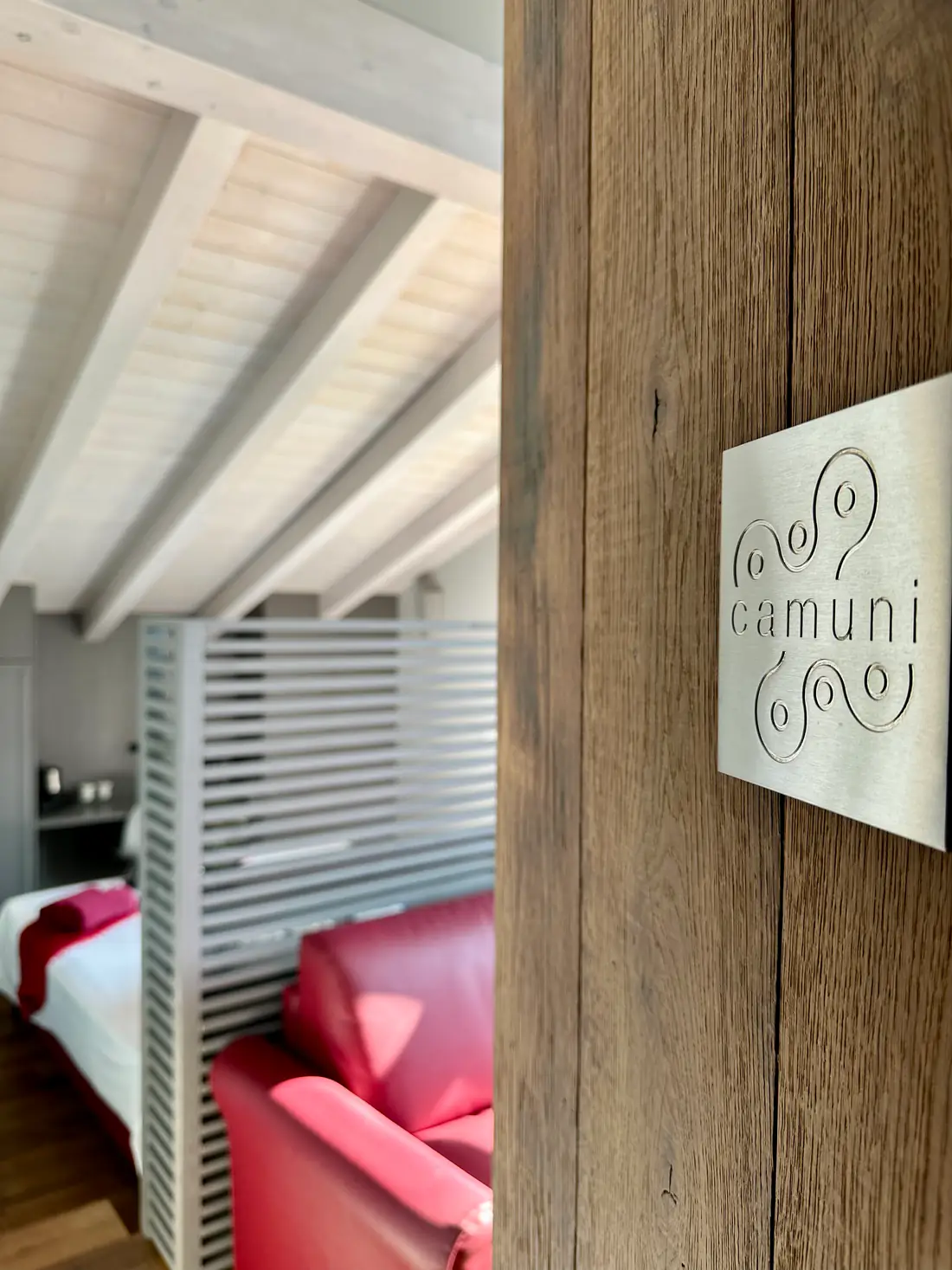 Suite Camuni – Vista dalla porta d’ingresso